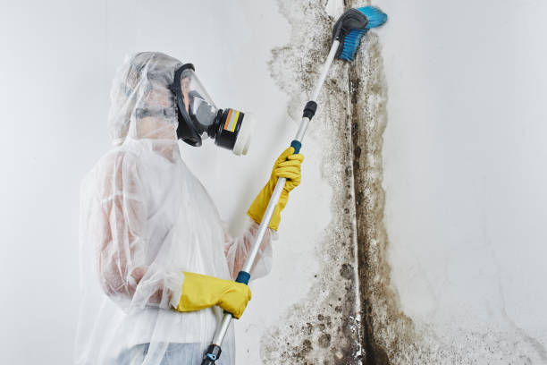 Professional Water damage restoration in Mount Pocono, PA